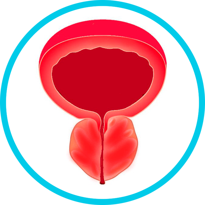 Symptome einer Prostatitis