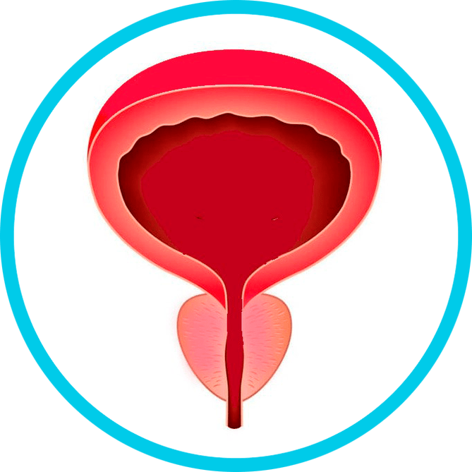 Vorbeugung von Prostatitis